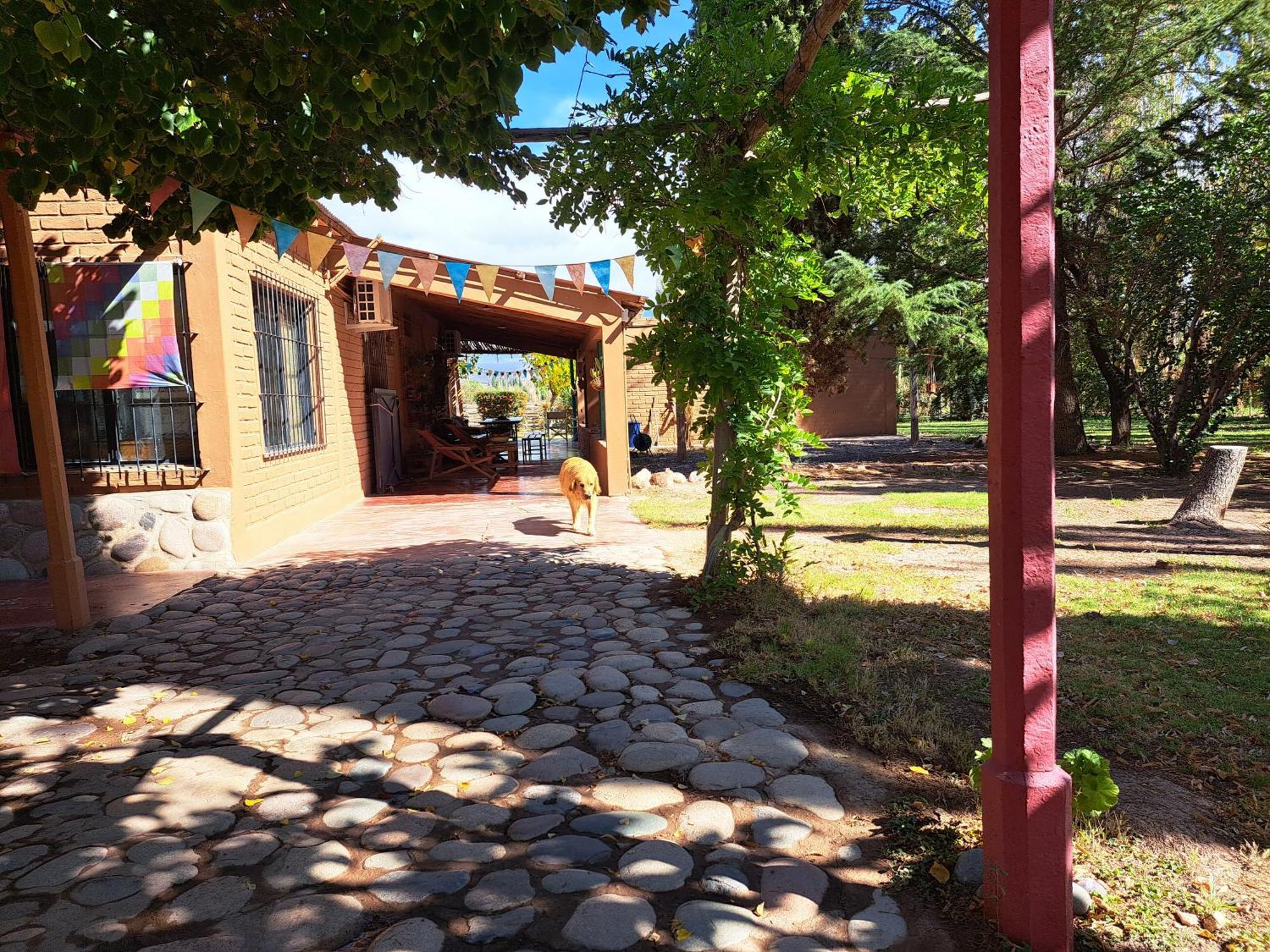 Aire De Barreal Hostel Andino Экстерьер фото
